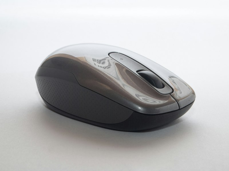 High-performance mouse